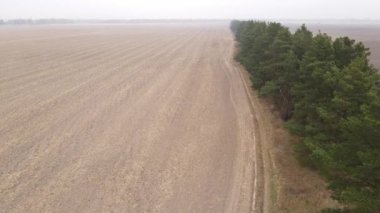 Sonbaharda boş tarla, hava manzarası