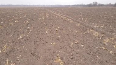 Sonbaharda boş tarla, hava manzarası