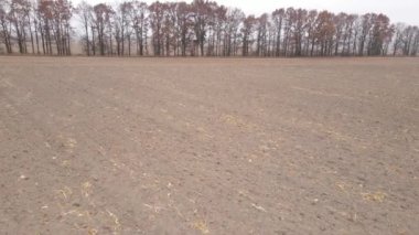 Sonbaharda boş tarla, hava manzarası