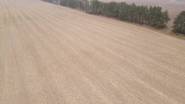 Sonbaharda boş tarla, hava manzarası