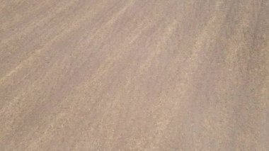 Sonbaharda boş tarla, hava manzarası