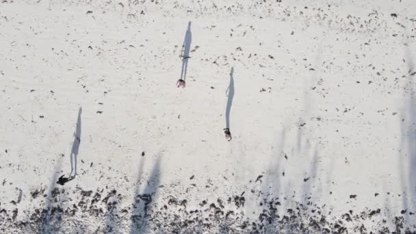 Folk spelar fotboll på stranden i Zanzibar, Tanzania — Stockvideo