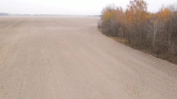 Üres szántott mező ősszel, légi kilátás — Stock videók