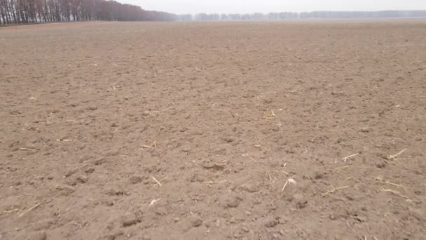 Пустое вспаханное поле осенью, вид с воздуха — стоковое видео