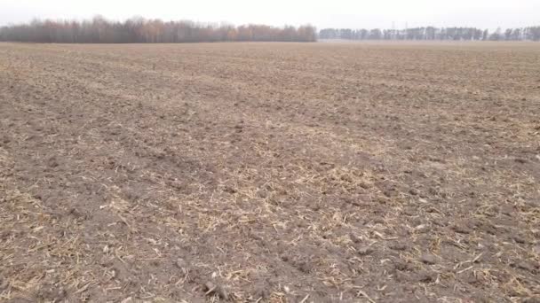 Campo arado vazio no outono, vista aérea — Vídeo de Stock