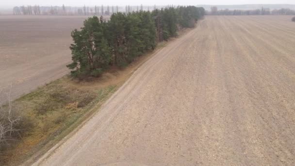 Leeg geploegd veld in de herfst, luchtfoto — Stockvideo