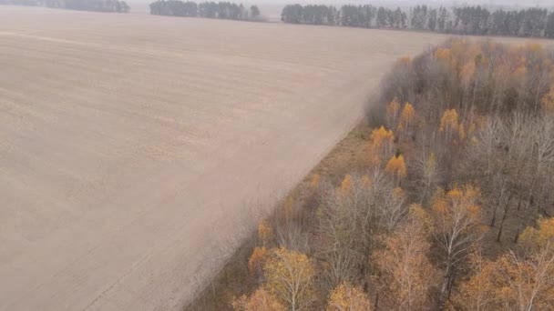 Campo arado vacío en otoño, vista aérea — Vídeos de Stock