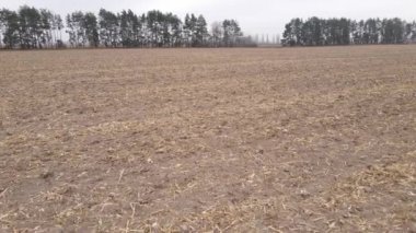 Sonbaharda boş tarla, hava manzarası