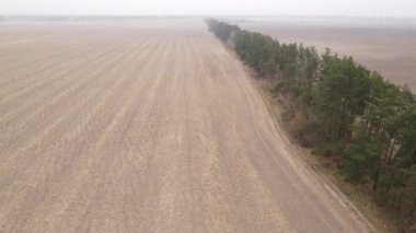 Sonbaharda boş tarla, hava manzarası