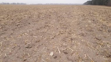 Sonbaharda boş tarla, hava manzarası