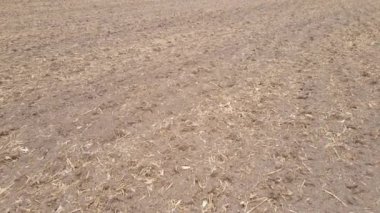 Sonbaharda boş tarla, hava manzarası