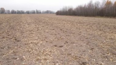 Sonbaharda boş tarla, hava manzarası