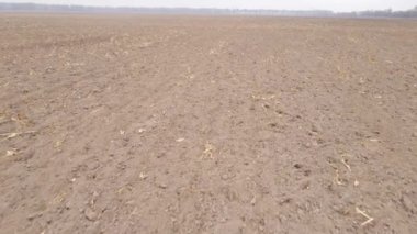 Sonbaharda boş tarla, hava manzarası