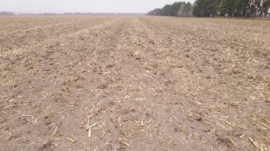 Sonbaharda boş tarla, hava manzarası