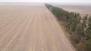 Sonbaharda boş tarla, hava manzarası