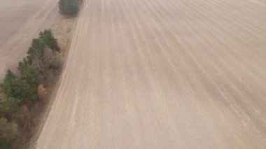 Sonbaharda boş tarla, hava manzarası