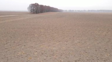 Sonbaharda boş tarla, hava manzarası
