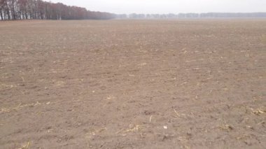 Sonbaharda boş tarla, hava manzarası