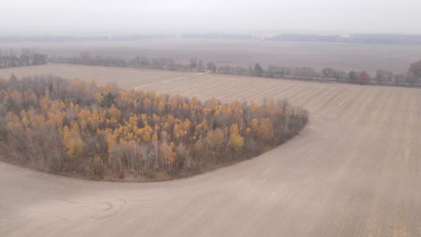 Campo arado vacío en otoño, vista aérea — Vídeos de Stock