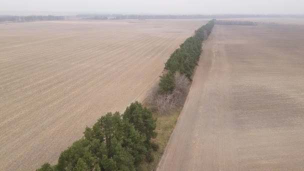 Leeg geploegd veld in de herfst, luchtfoto — Stockvideo