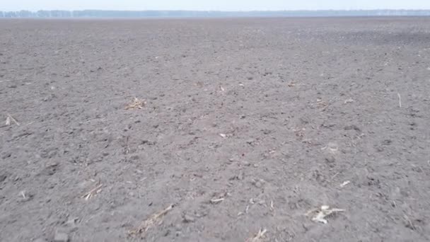 Leeres gepflügtes Feld im Herbst, Luftaufnahme — Stockvideo