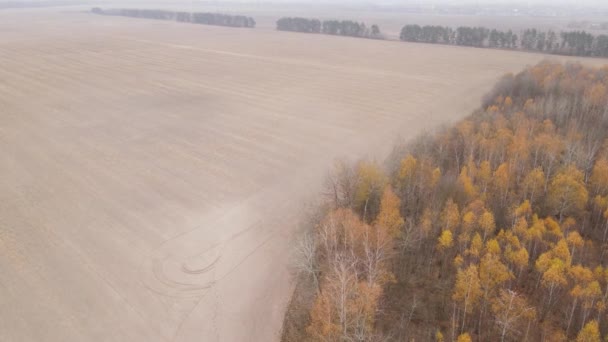 Champ labouré vide en automne, vue aérienne — Video
