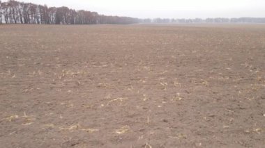 Sonbaharda boş tarla, hava manzarası