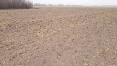 Sonbaharda boş tarla, hava manzarası