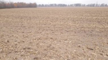 Sonbaharda boş tarla, hava manzarası