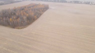 Sonbaharda boş tarla, hava manzarası