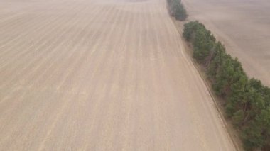 Sonbaharda boş tarla, hava manzarası