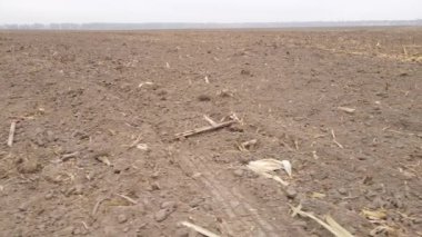 Sonbaharda boş tarla, hava manzarası