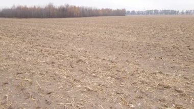 Sonbaharda boş tarla, hava manzarası