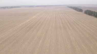 Sonbaharda boş tarla, hava manzarası