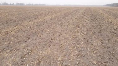 Sonbaharda boş tarla, hava manzarası