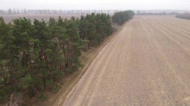 Sonbaharda boş tarla, hava manzarası