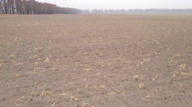 Sonbaharda boş tarla, hava manzarası