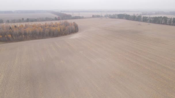 Campo arado vacío en otoño, vista aérea — Vídeos de Stock