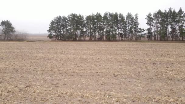 Leeres gepflügtes Feld im Herbst, Luftaufnahme — Stockvideo