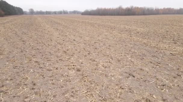 Leeres gepflügtes Feld im Herbst, Luftaufnahme — Stockvideo