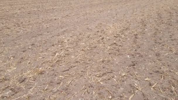 Leeg geploegd veld in de herfst, luchtfoto — Stockvideo