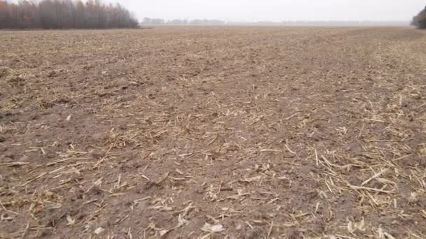 Leeres gepflügtes Feld im Herbst, Luftaufnahme — Stockvideo