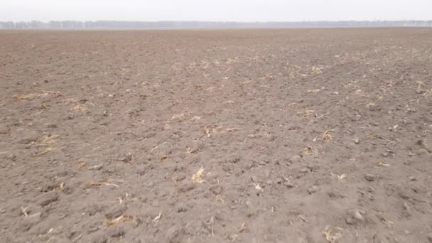 Ladang kosong dibajak di musim gugur, tampilan udara — Stok Video