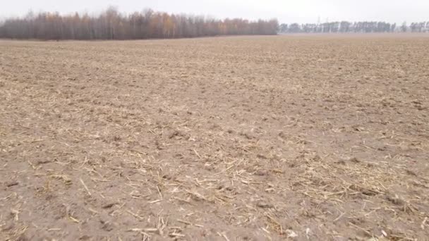 가을의 텅 빈 밭, 하늘을 배경으로 한 광경 — 비디오