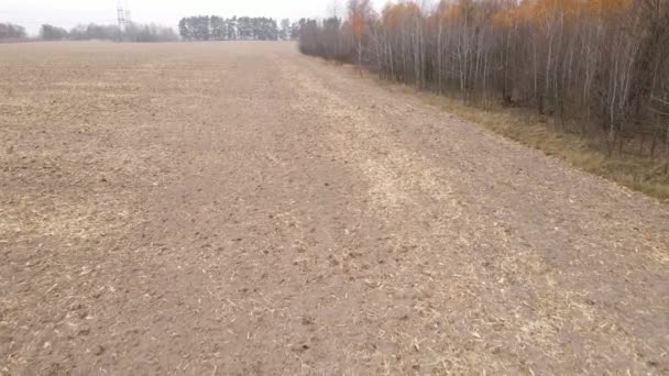 Campo arado vacío en otoño, vista aérea — Vídeos de Stock