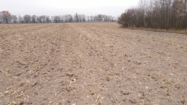 Campo arado vacío en otoño, vista aérea — Vídeos de Stock