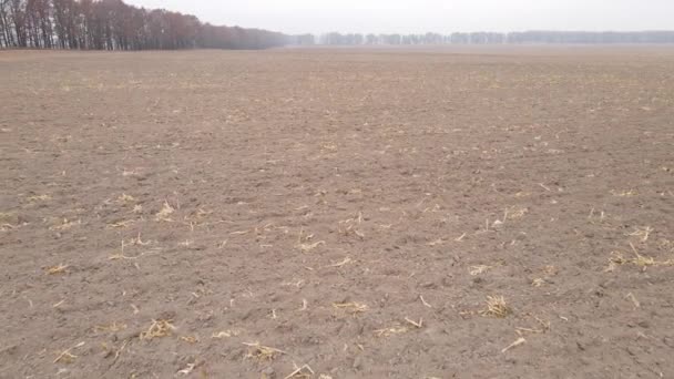 Campo arado vacío en otoño, vista aérea — Vídeos de Stock