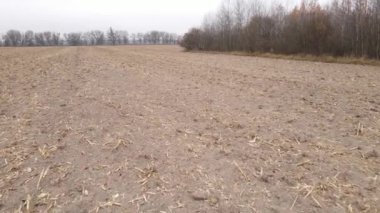 Sonbaharda boş tarla, hava manzarası