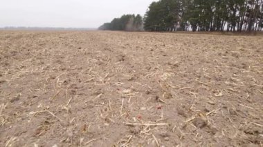 Sonbaharda boş tarla, hava manzarası