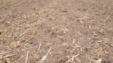 Sonbaharda boş tarla, hava manzarası